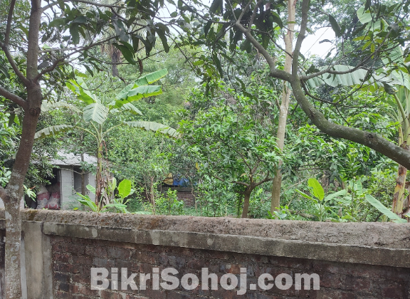 Land for sale